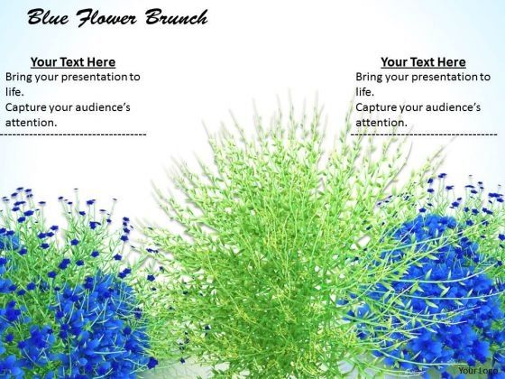 0814_stock_photo_blue_flowers_with_green_grass_powerpoint_slide_1.jpg