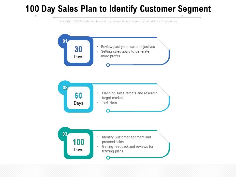 100_Day_Sales_Plan_To_Identify_Customer_Segment_Ppt_PowerPoint_Presentation_Pictures_Design_Ideas_PDF_Slide_1.jpg