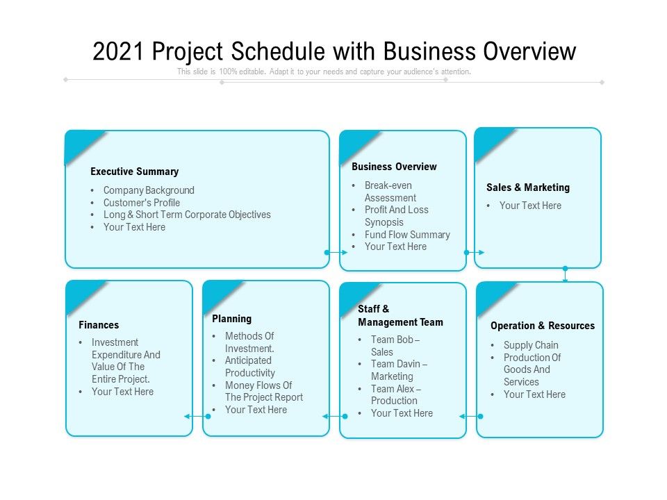 2021_Project_Schedule_With_Business_Overview_Ppt_PowerPoint_Presentation_Show_PDF_Slide_1.jpg