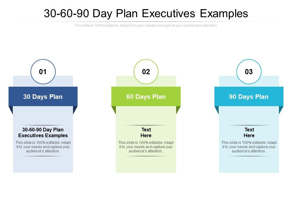 30_60_90_Day_Plan_Executives_Examples_Ppt_PowerPoint_Presentation_Gallery_Images_Cpb_Pdf_Slide_1.jpg