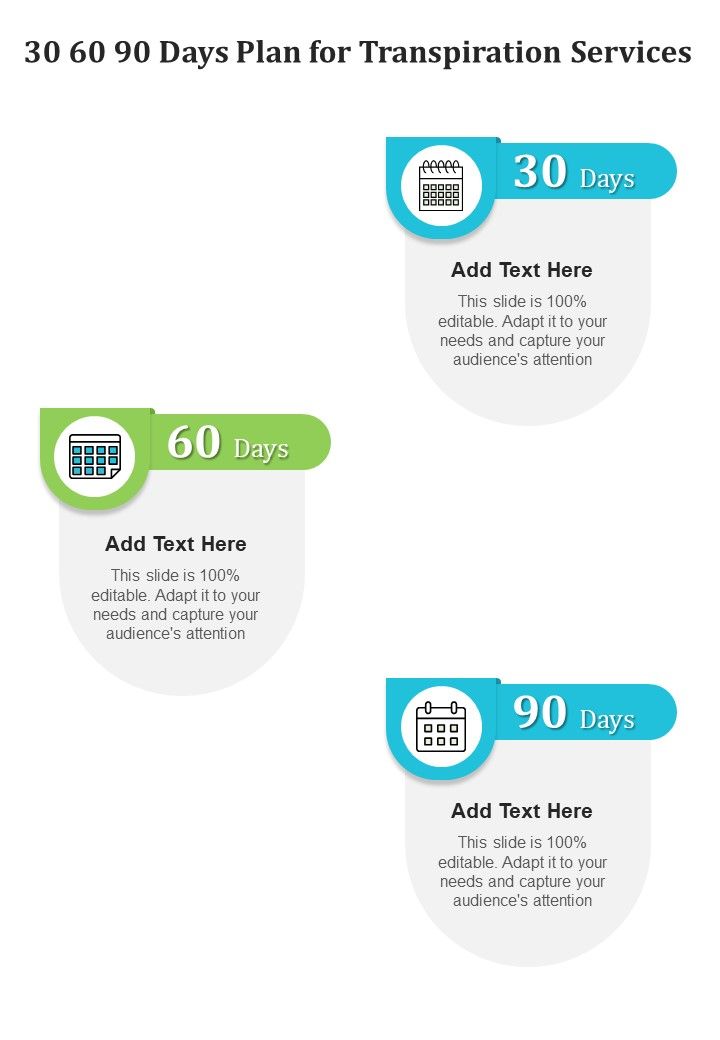 30_60_90_Days_Plan_For_Transpiration_Services_One_Pager_Sample_Example_Document_Slide_1.jpg
