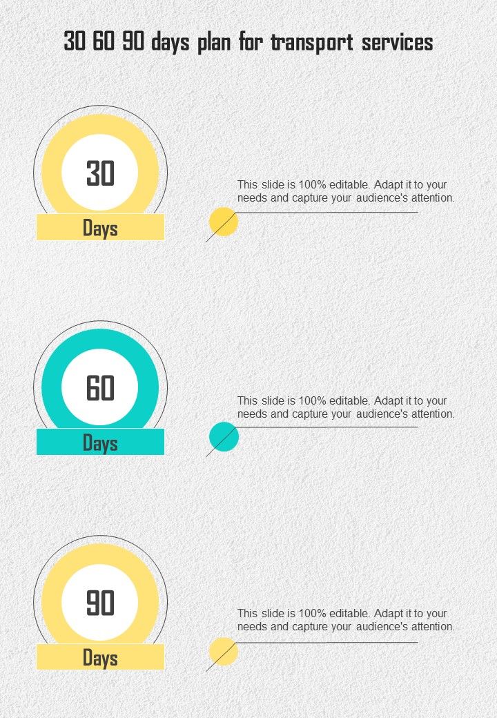 30_60_90_Days_Plan_For_Transport_Services_One_Pager_Sample_Example_Document_Slide_1.jpg