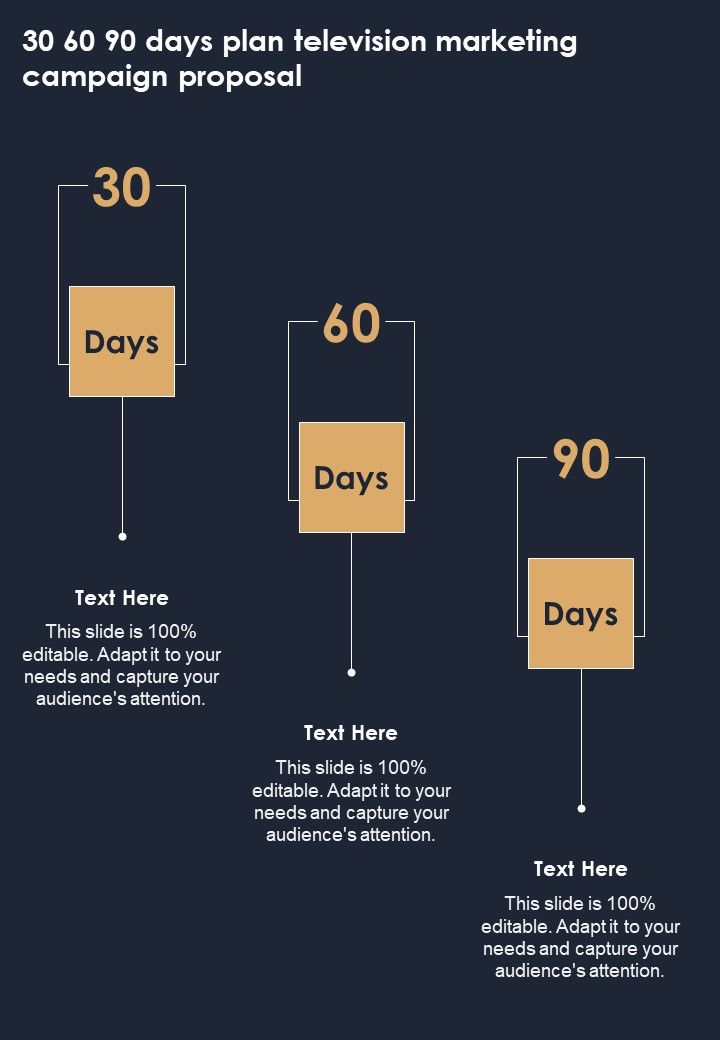 30_60_90_Days_Plan_Television_Marketing_Campaign_Proposal_One_Pager_Sample_Example_Document_Slide_1.jpg