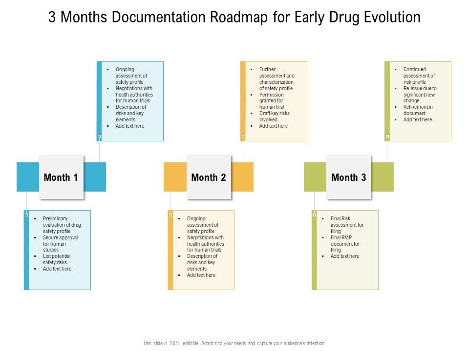 3_Months_Documentation_Roadmap_For_Early_Drug_Evolution_Infographics_Slide_1.jpg