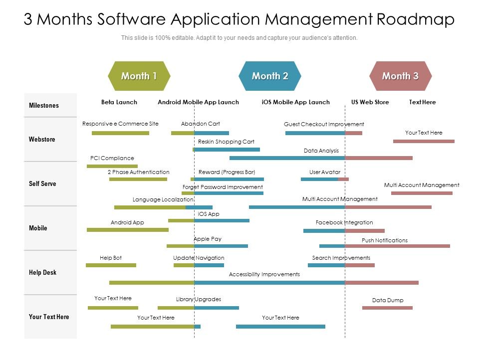 3_Months_Software_Application_Management_Roadmap_Slides_Slide_1.jpg