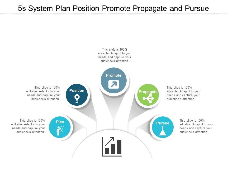 5S_System_Plan_Position_Promote_Propagate_And_Pursue_Ppt_PowerPoint_Presentation_Slides_Templates_Slide_1.jpg
