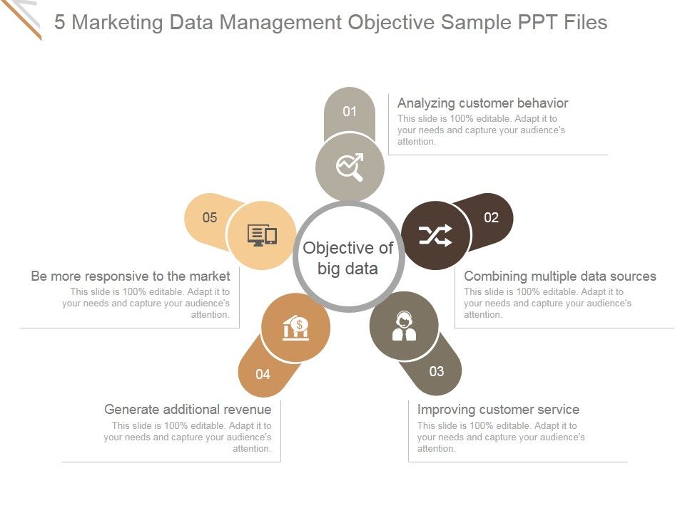 5_Marketing_Data_Management_Objective_Ppt_PowerPoint_Presentation_Introduction_Slide_1.jpg