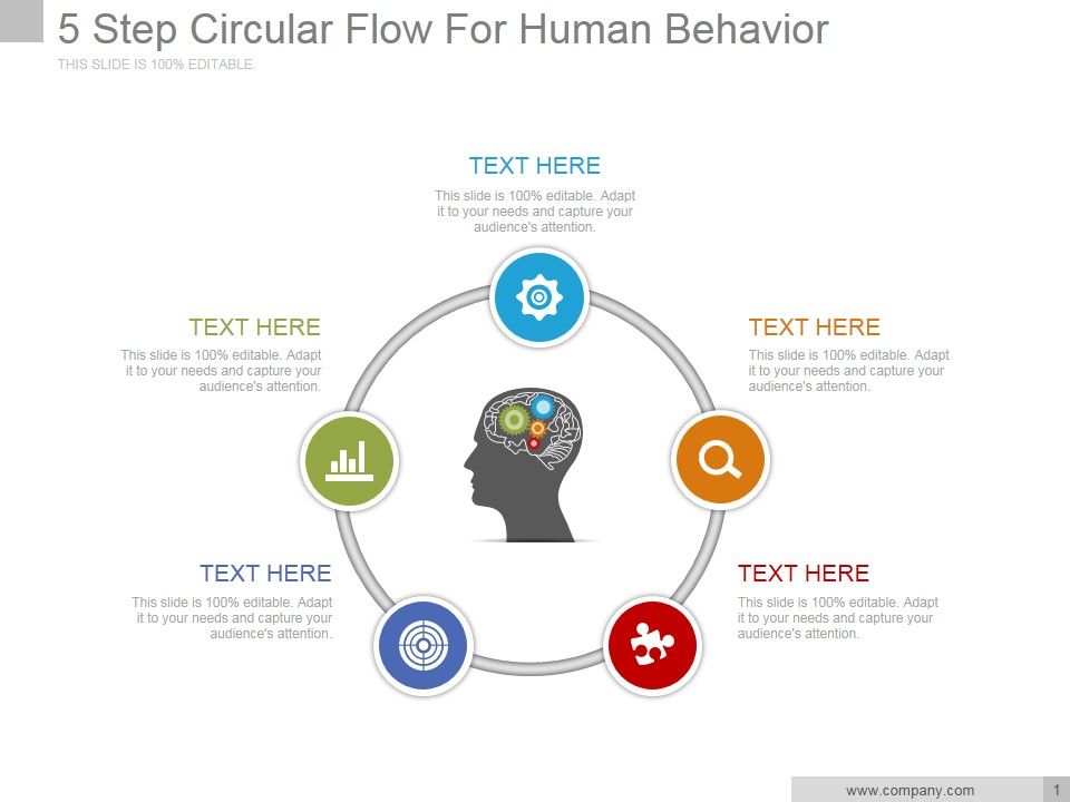 5_Step_Circular_Flow_For_Human_Behavior_Ppt_PowerPoint_Presentation_Diagrams_Slide_1.jpg
