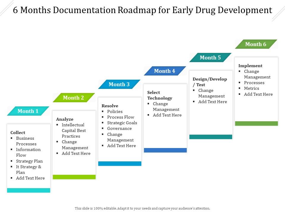 6_Months_Documentation_Roadmap_For_Early_Drug_Development_Summary_Slide_1.jpg