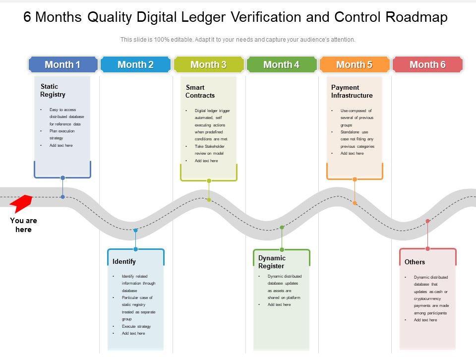 6_Months_Quality_Digital_Ledger_Verification_And_Control_Roadmap_Rules_Slide_1.jpg