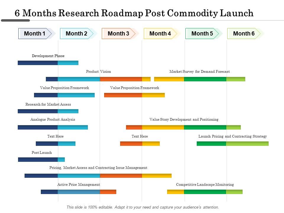 6_Months_Research_Roadmap_Post_Commodity_Launch_Formats_Slide_1.jpg