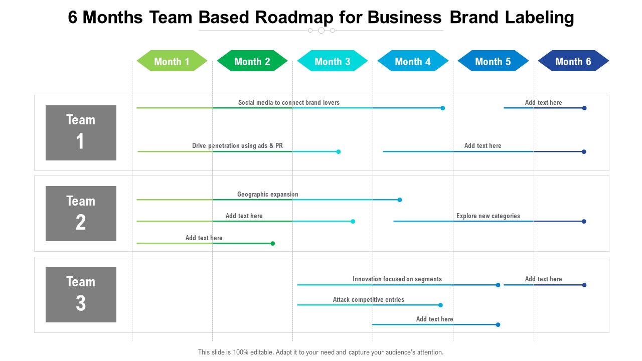 6_Months_Team_Based_Roadmap_For_Business_Brand_Labeling_Professional_Slide_1.jpg