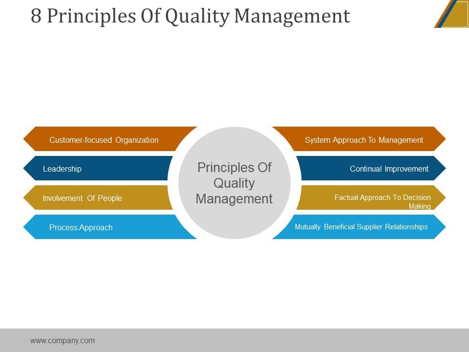 8_Principles_Of_Quality_Management_Ppt_PowerPoint_Presentation_Example_File_Slide_1.jpg