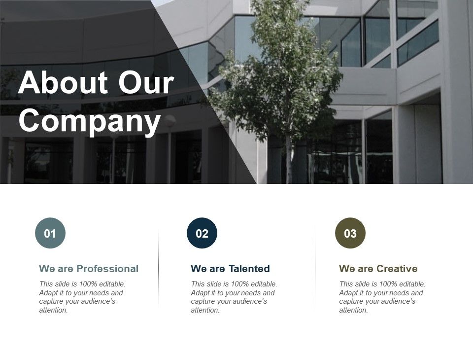 About_Our_Company_Ppt_PowerPoint_Presentation_Slides_Layout_Slide_1.jpg