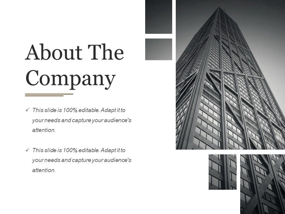 About_The_Company_Ppt_PowerPoint_Presentation_Portfolio_Infographic_Template_Slide_1.jpg