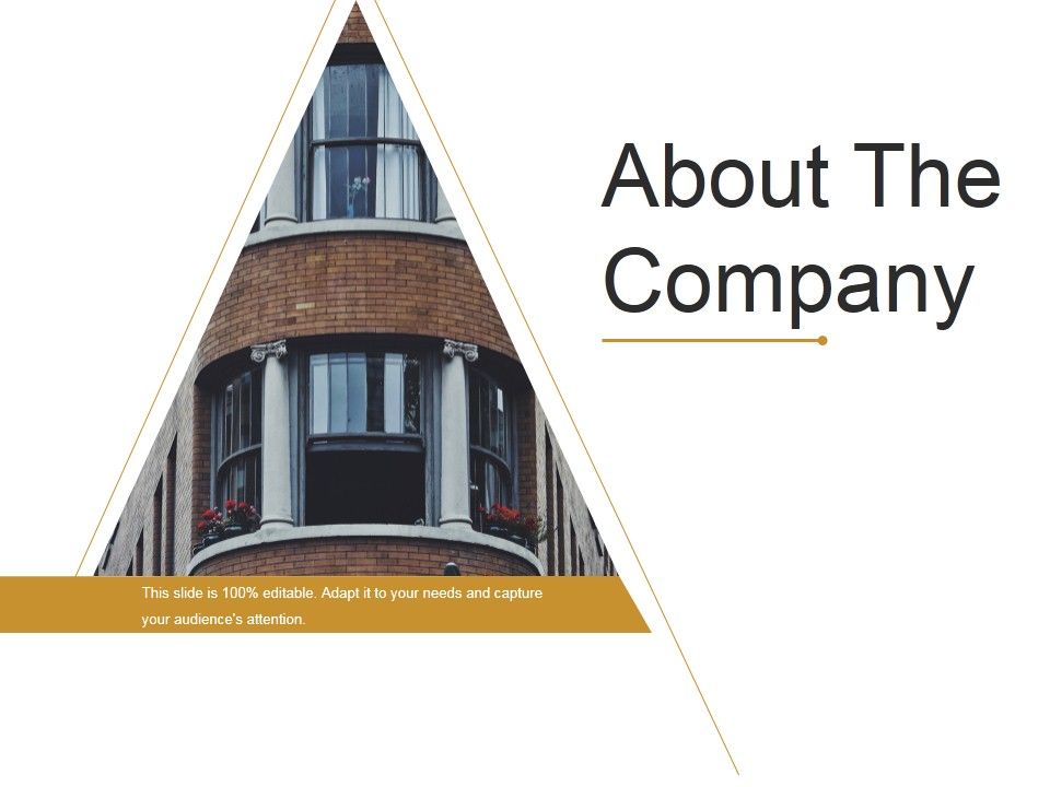 About_The_Company_Ppt_PowerPoint_Presentation_Styles_Topics_Slide_1.jpg
