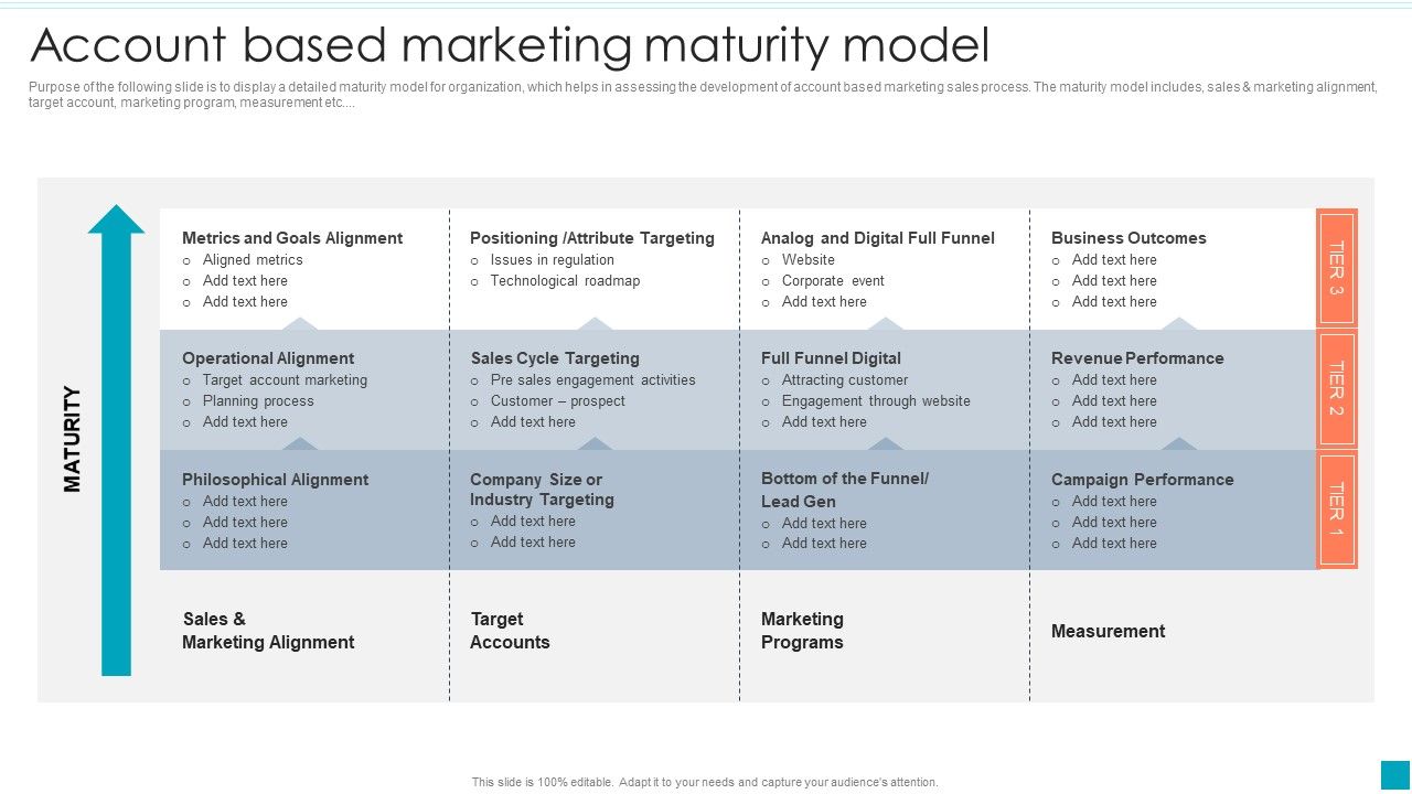 Account_Based_Marketing_Maturity_Model_Efficient_B2B_And_B2C_Marketing_Techniques_For_Organization_Professional_PDF_Slide_1.jpg