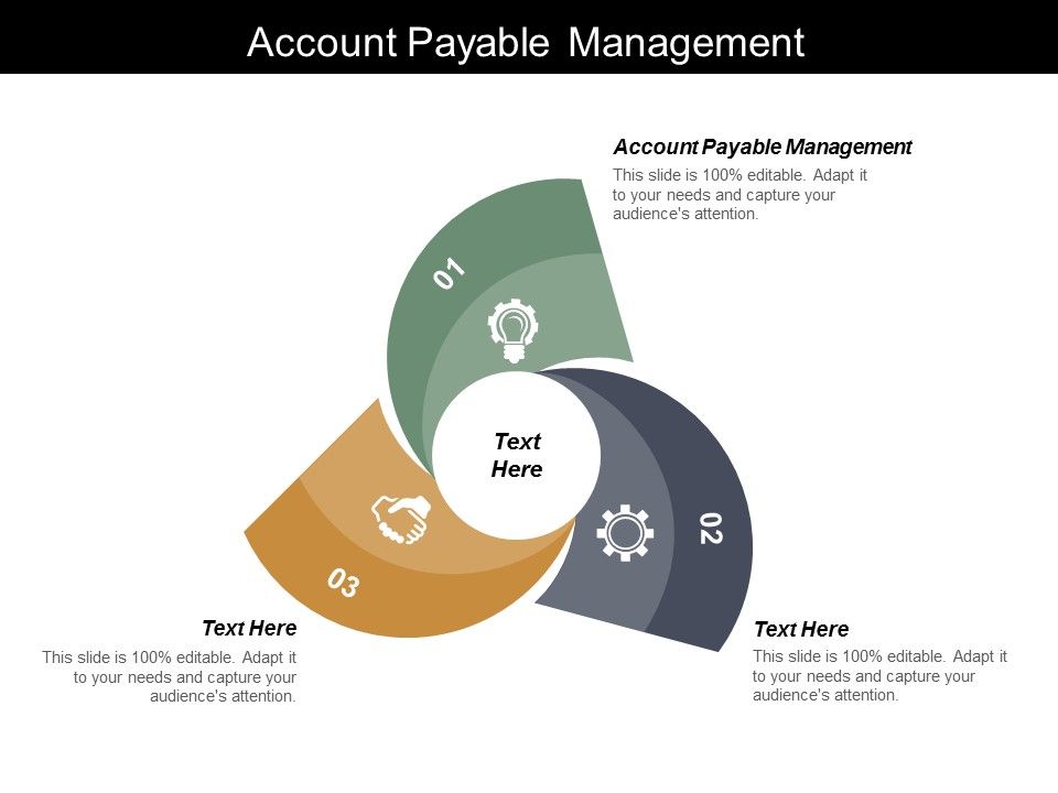 Account_Payable_Management_Ppt_PowerPoint_Presentation_Pictures_Graphics_Slide_1.jpg