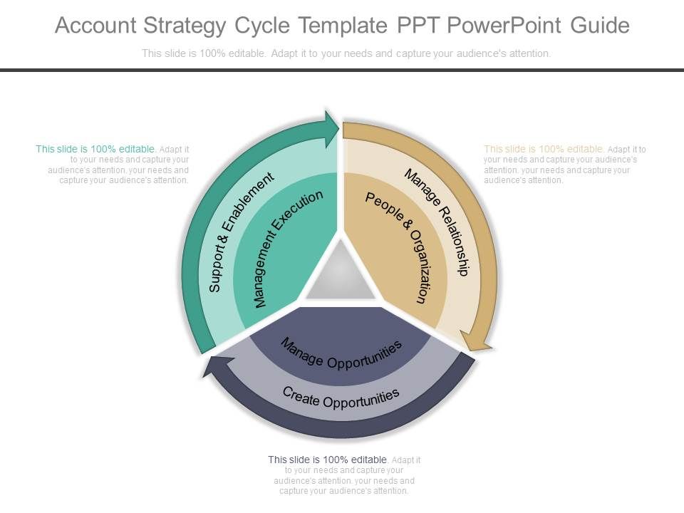 Account_Strategy_Cycle_Template_Ppt_Powerpoint_Guide_1.jpg