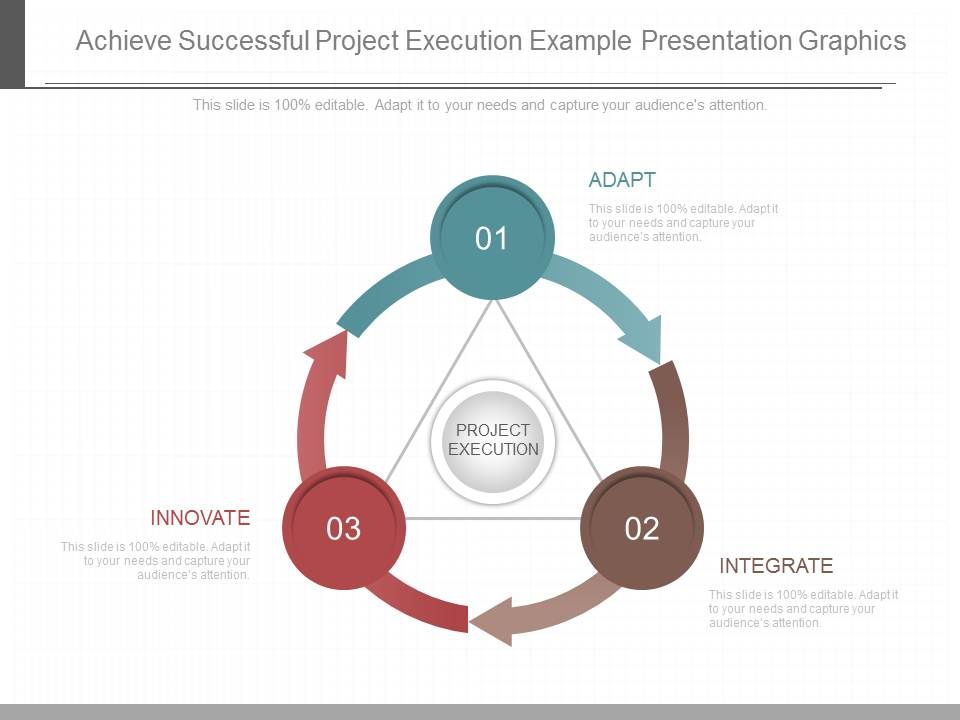 Achieve_Successful_Project_Execution_Example_Presentation_Graphics_1.jpg