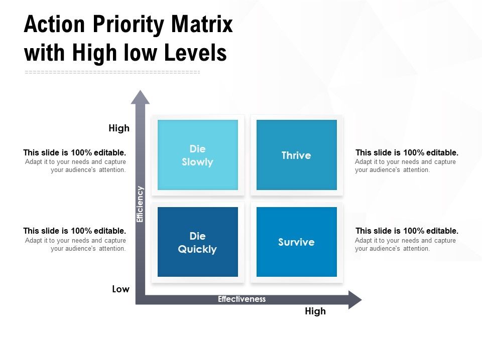 Action_Priority_Matrix_With_High_Low_Levels_Ppt_PowerPoint_Presentation_Portfolio_Graphic_Tips_Slide_1.jpg
