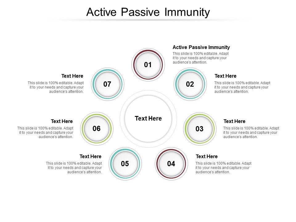 Active_Passive_Immunity_Ppt_PowerPoint_Presentation_Styles_Display_Cpb_Pdf_Slide_1.jpg