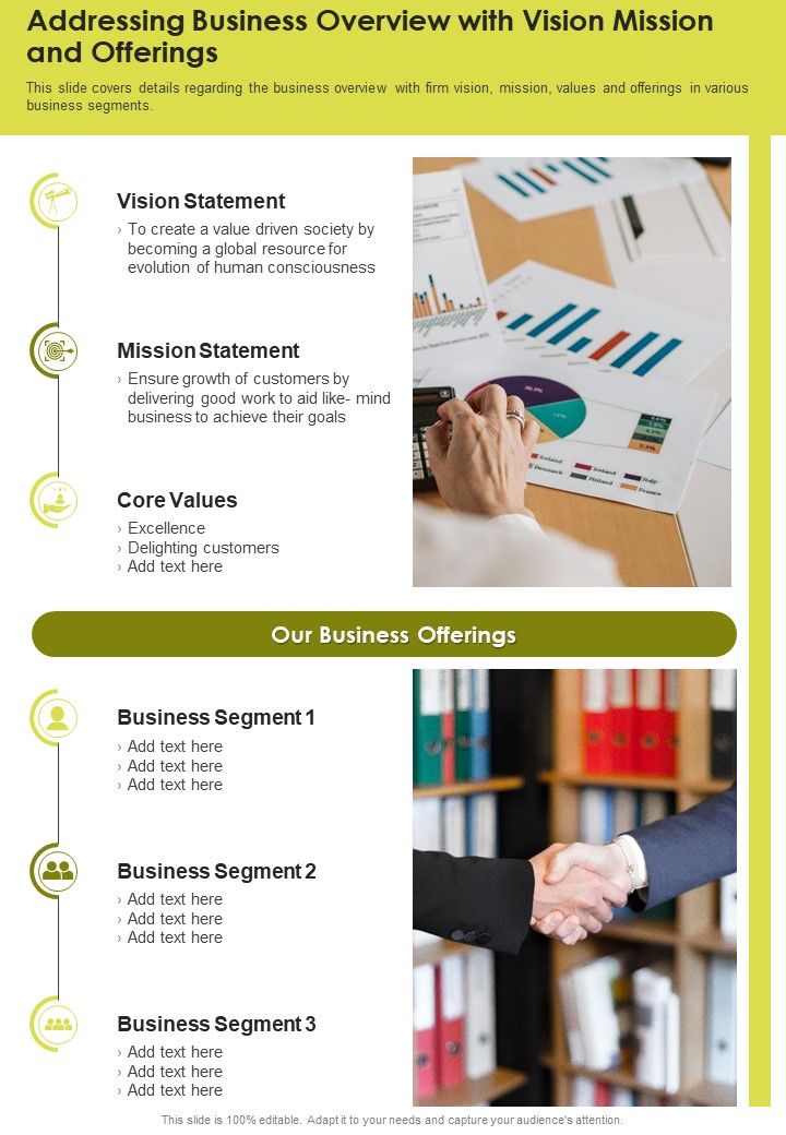 Addressing_Business_Overview_With_Vision_Mission_And_Offerings_One_Pager_Documents_Slide_1.jpg