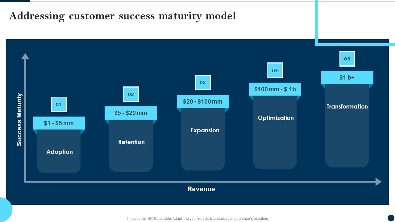Addressing_Customer_Success_Maturity_Model_Client_Success_Best_Practices_Guide_Infographics_PDF_Slide_1.jpg