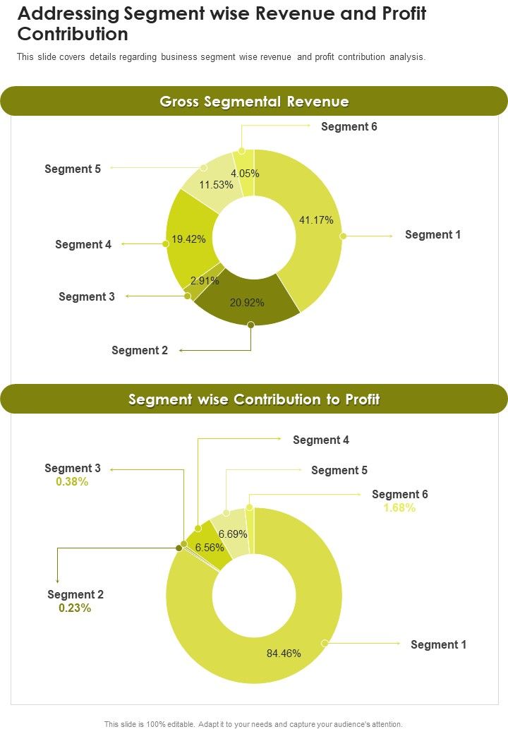 Addressing Segment Wise Revenue And Profit Contribution One Pager Documents Slide01