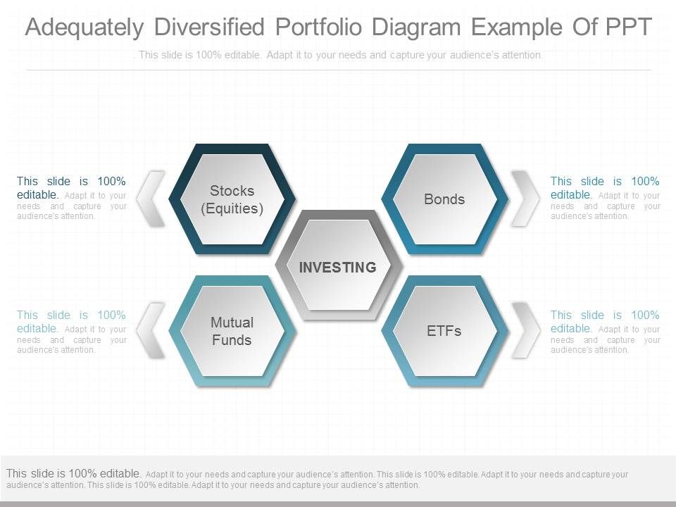 Adequately_Diversified_Portfolio_Diagram_Example_Of_Ppt_1.jpg