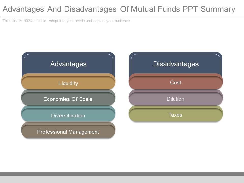 Advantages_And_Disadvantages_Of_Mutual_Funds_Ppt_Summary_1.jpg