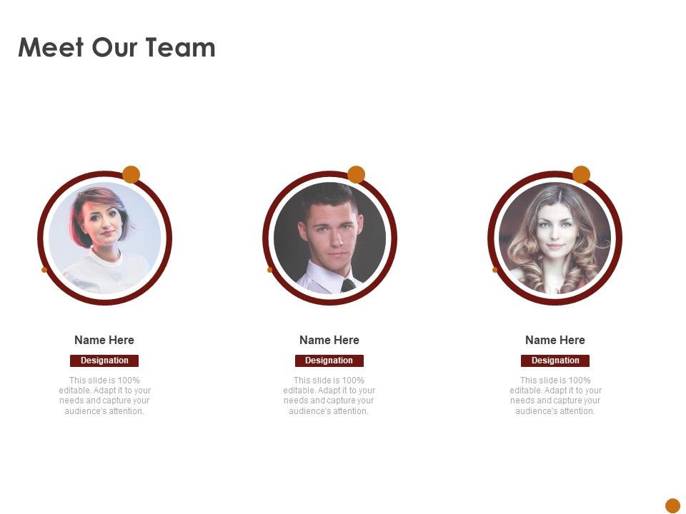 Advertising_Existing_Products_And_Services_In_The_Target_Market_Meet_Our_Team_Ppt_Ideas_Show_PDF_Slide_1.jpg