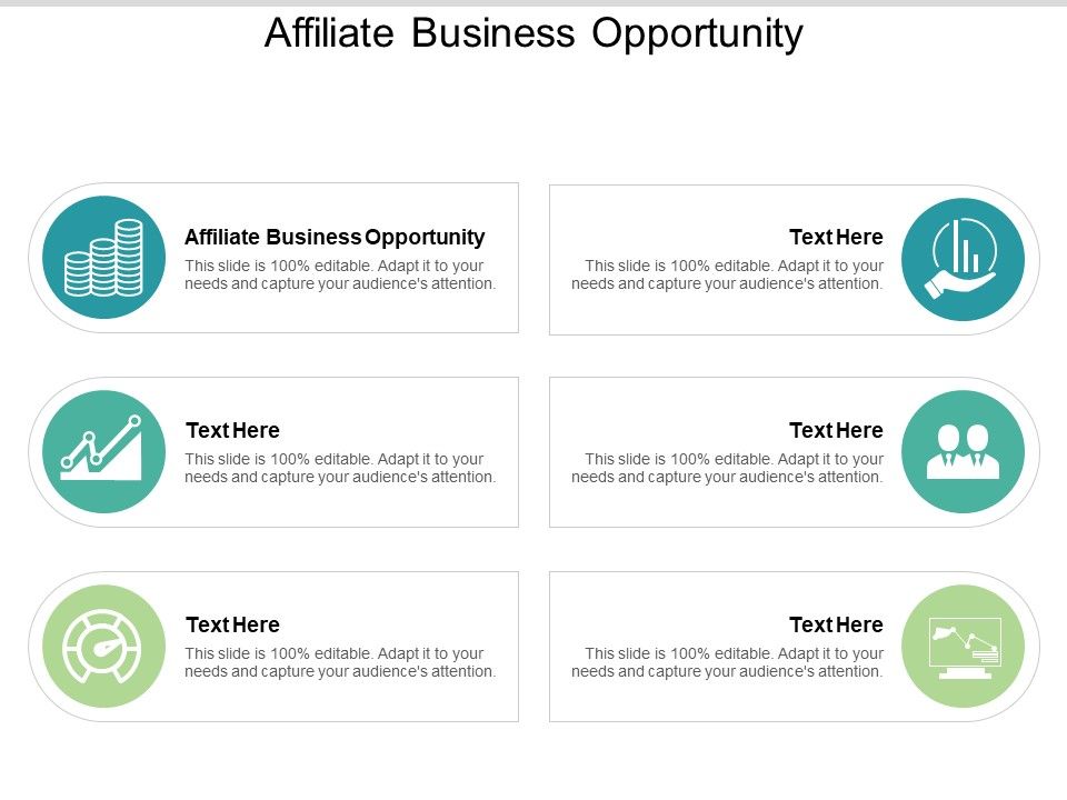 Affiliate_Business_Opportunity_Ppt_PowerPoint_Presentation_Summary_Tips_Cpb_Slide_1.jpg
