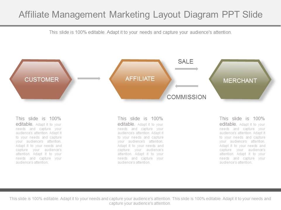 Affiliate_Management_Marketing_Layout_Diagram_Ppt_Slide_1.jpg