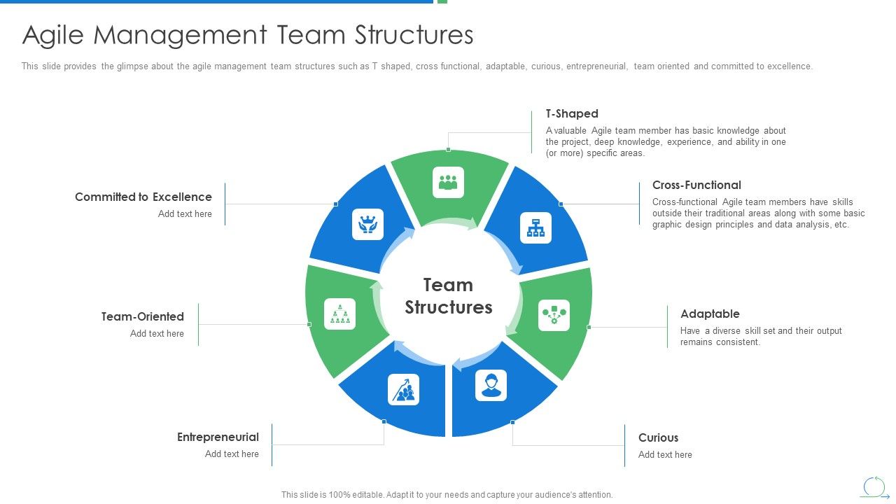 Agile_Project_Management_Strategy_Agile_Management_Team_Structures_Infographics_PDF_Slide_1.jpg