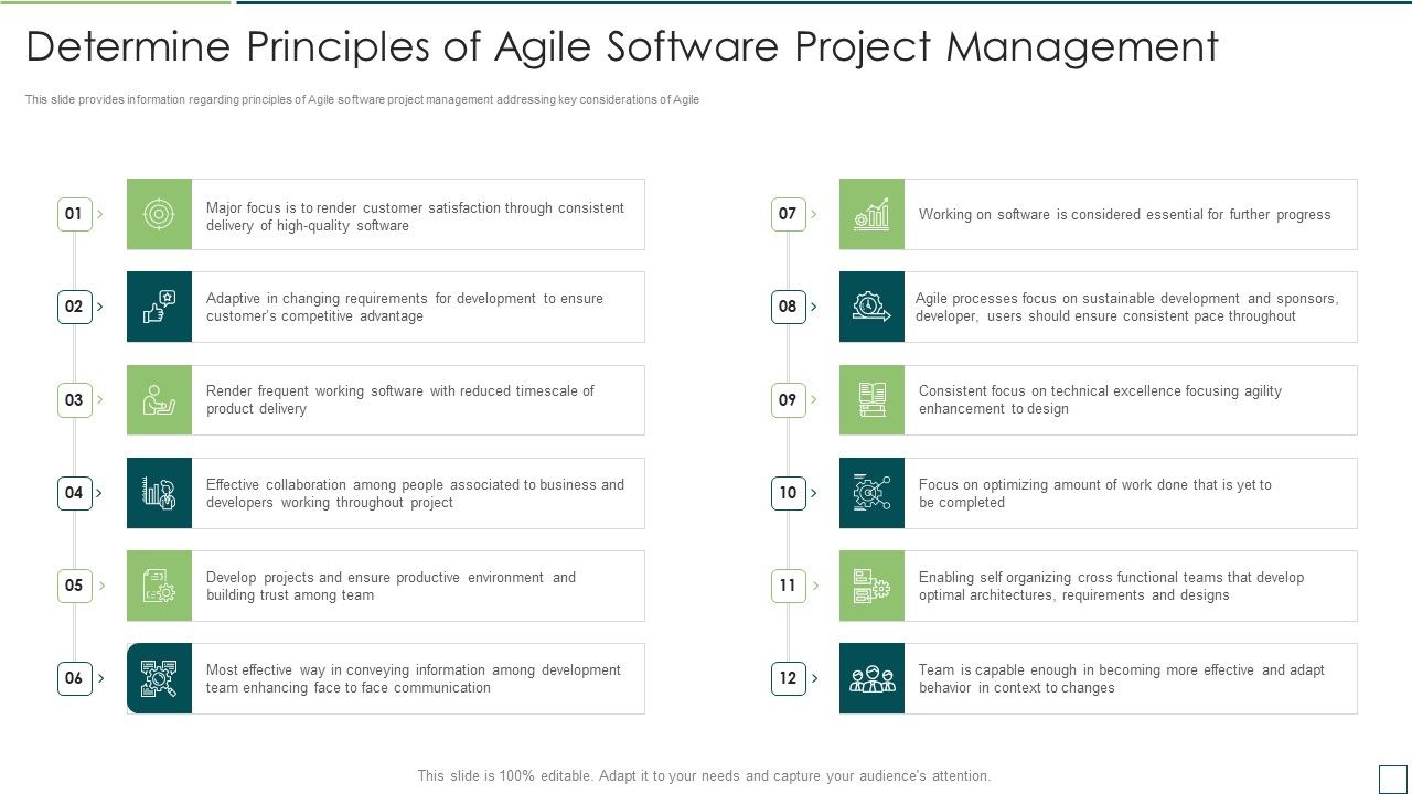 Agile_Software_Development_And_Management_IT_Determine_Principles_Of_Agile_Software_Professional_PDF_Slide_1.jpg