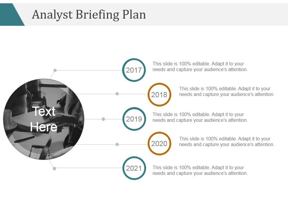 Analyst_Briefing_Plan_Ppt_PowerPoint_Presentation_Portfolio_Slide_1.jpg