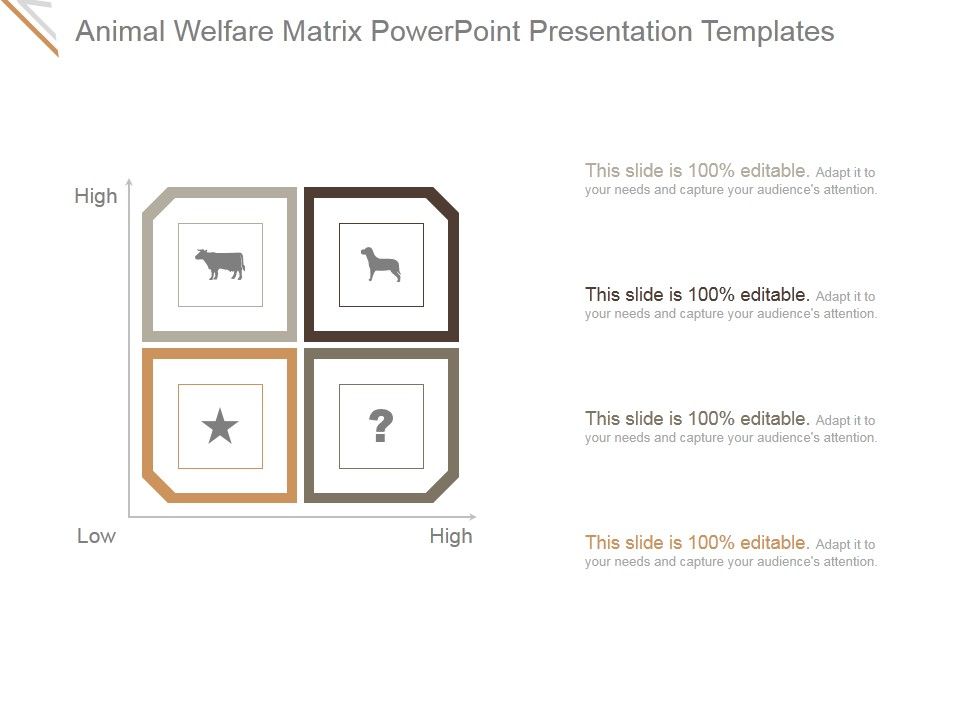 Animal_Welfare_Matrix_Ppt_PowerPoint_Presentation_Gallery_Slide_1.jpg