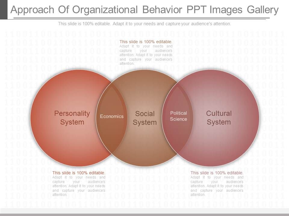 Approach_Of_Organizational_Behavior_Ppt_Images_Gallery_1.jpg
