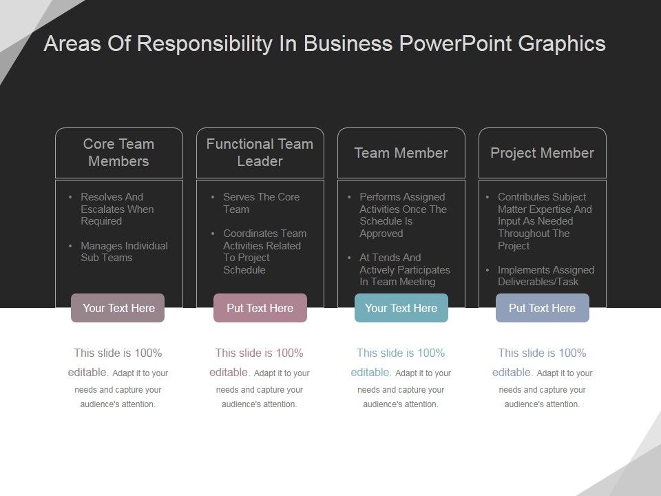 Areas_Of_Responsibility_In_Business_Ppt_PowerPoint_Presentation_Infographics_Slide_1.jpg