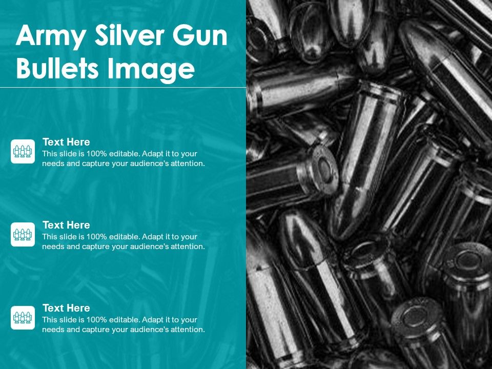 Army_Silver_Gun_Bullets_Image_Ppt_PowerPoint_Presentation_Outline_Information_PDF_Slide_1.jpg