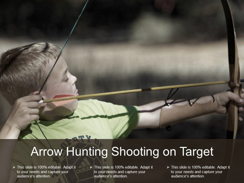 Arrow_Hunting_Shooting_On_Target_Ppt_PowerPoint_Presentation_Layouts_Show_Slide_1.jpg