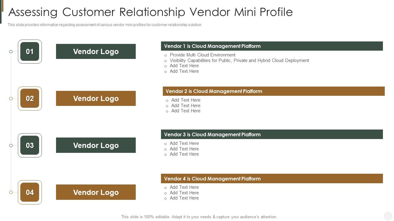 Assessing_Customer_Relationship_Vendor_Mini_Profile_Strategies_To_Improve_Customer_Template_PDF_Slide_1.jpg