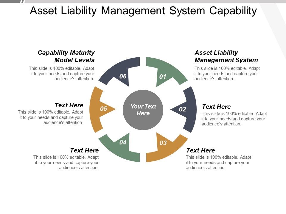 Asset_Liability_Management_System_Capability_Maturity_Model_Levels_Ppt_PowerPoint_Presentation_Summary_Microsoft_Slide_1.jpg