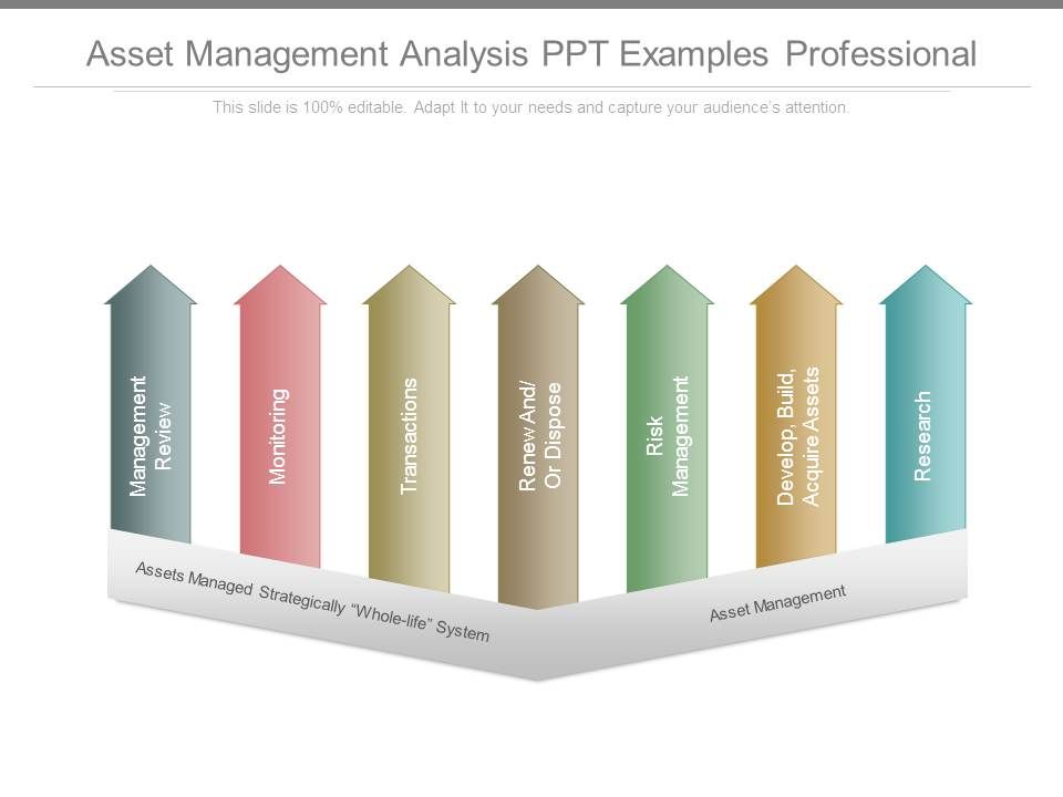 Asset_Management_Analysis_Ppt_Examples_Professional_1.jpg