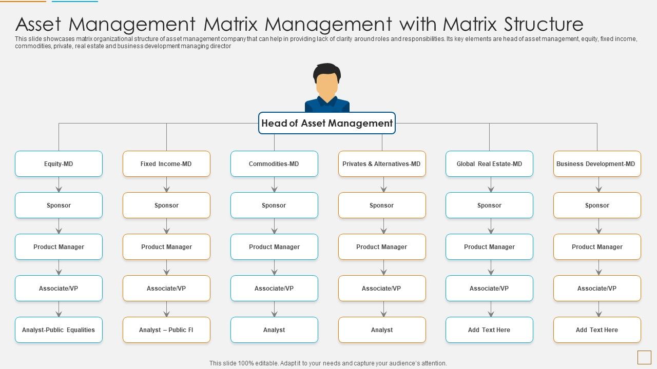 Asset_Management_Matrix_Management_With_Matrix_Structure_Introduction_PDF_Slide_1.jpg