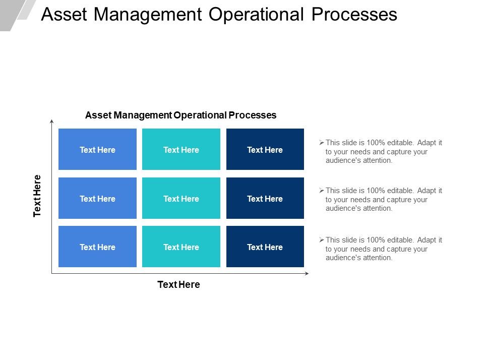 Asset_Management_Operational_Processes_Ppt_PowerPoint_Presentation_Infographics_Infographics_Cpb_Slide_1.jpg