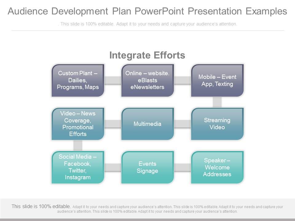 Audience_Development_Plan_Powerpoint_Presentation_Examples_1.jpg