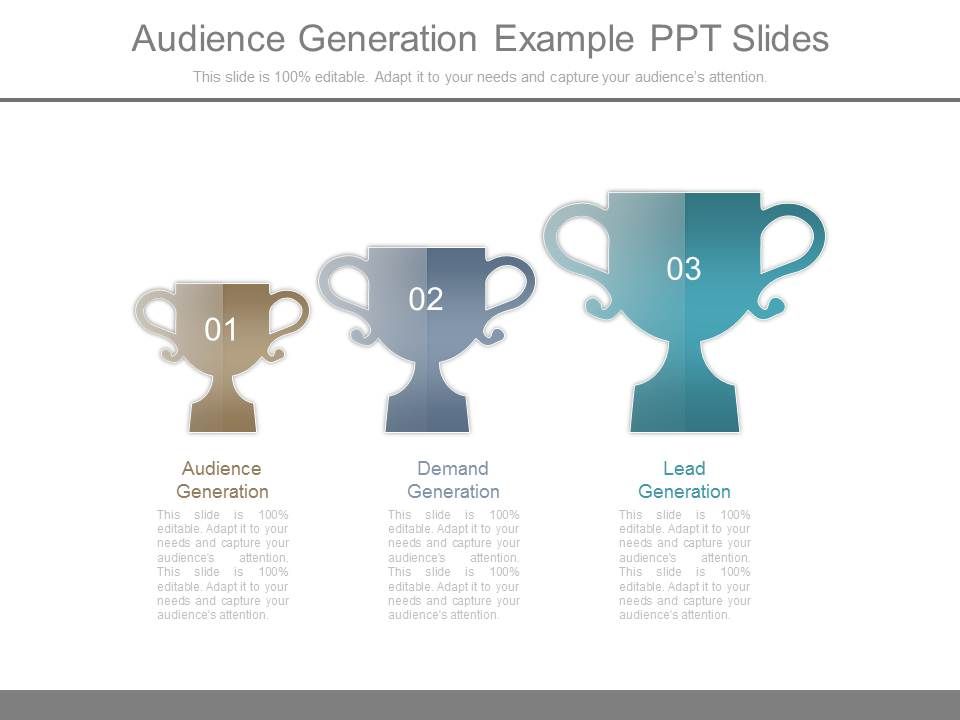 Audience_Generation_Example_Ppt_Slides_1.jpg