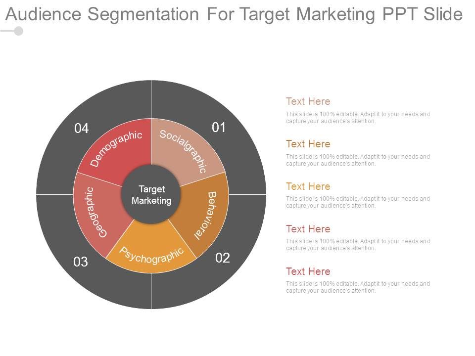 Audience_Segmentation_For_Target_Marketing_Ppt_Slide_1.jpg